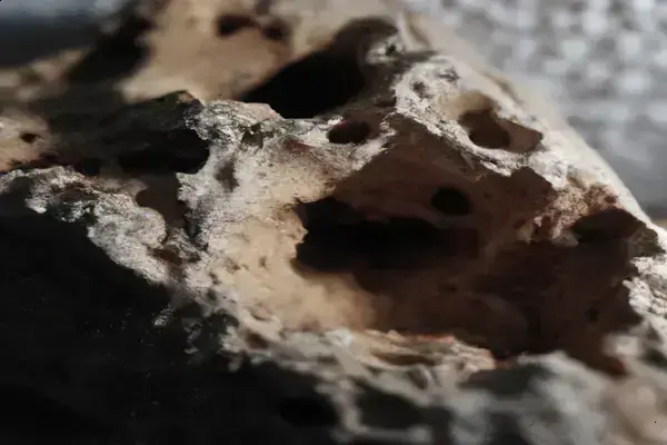 ピザ窯の基本的な清掃方法