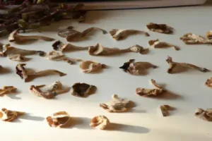 定期的なピザ窯メンテナンス